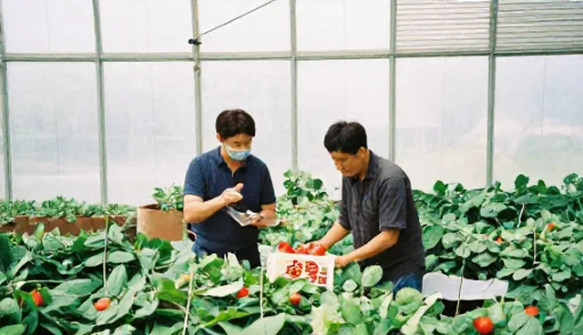 种植技术指导在收购流程中的维护方法与适用条件